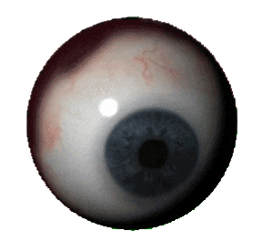 eye