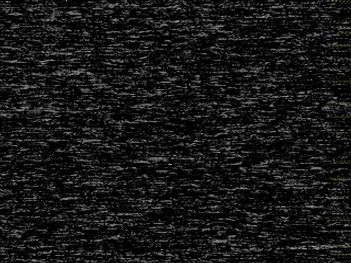 disclaimer image